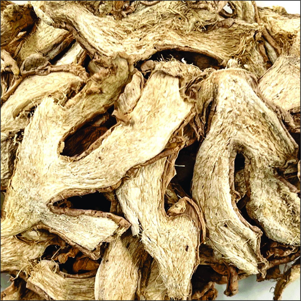 Jengibre deshidratado en trozos. - Comver