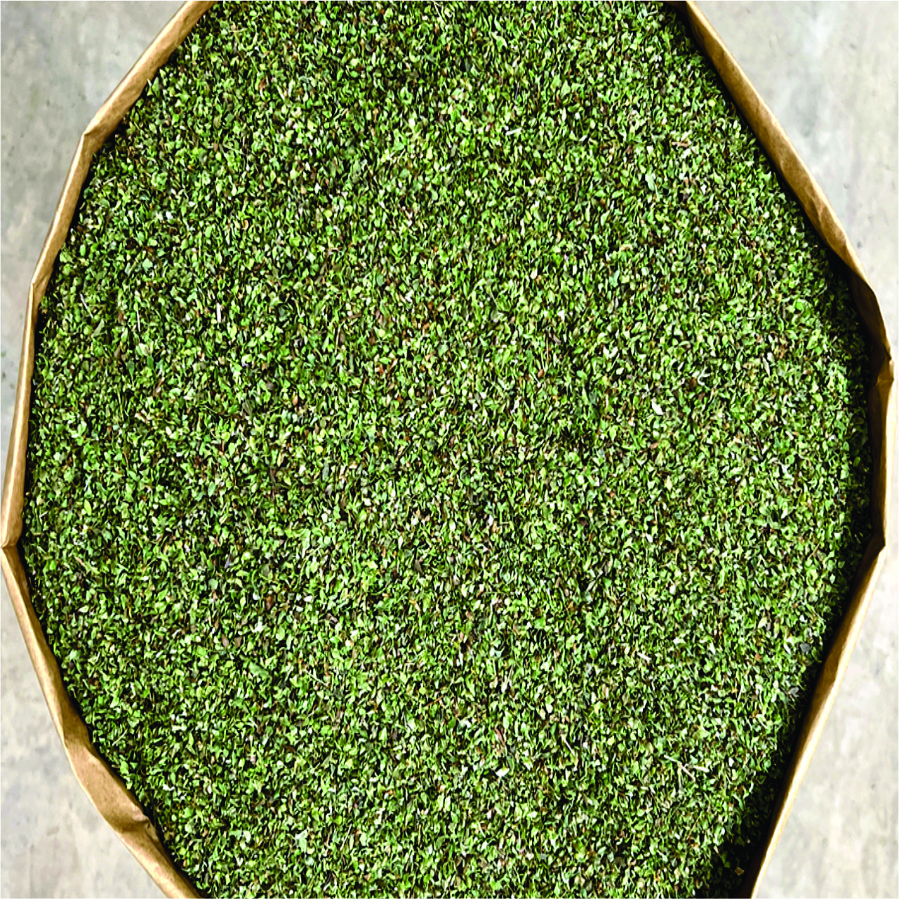 Orégano seco en hojas - Comver 1